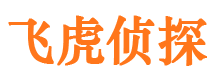 玉溪市私家侦探